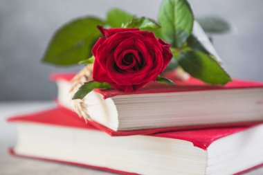 Aziz George Günü 'nün Katalanca adı Sant Jordi. Katalonya, İspanya' da kırmızı gül ve kitap vermenin bir gelenek olduğu gün.