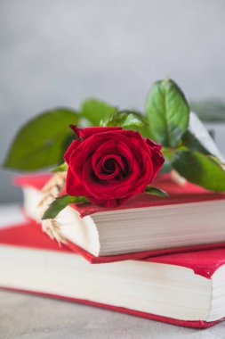 Aziz George Günü 'nün Katalanca adı Sant Jordi. Katalonya, İspanya' da kırmızı gül ve kitap vermenin bir gelenek olduğu gün.