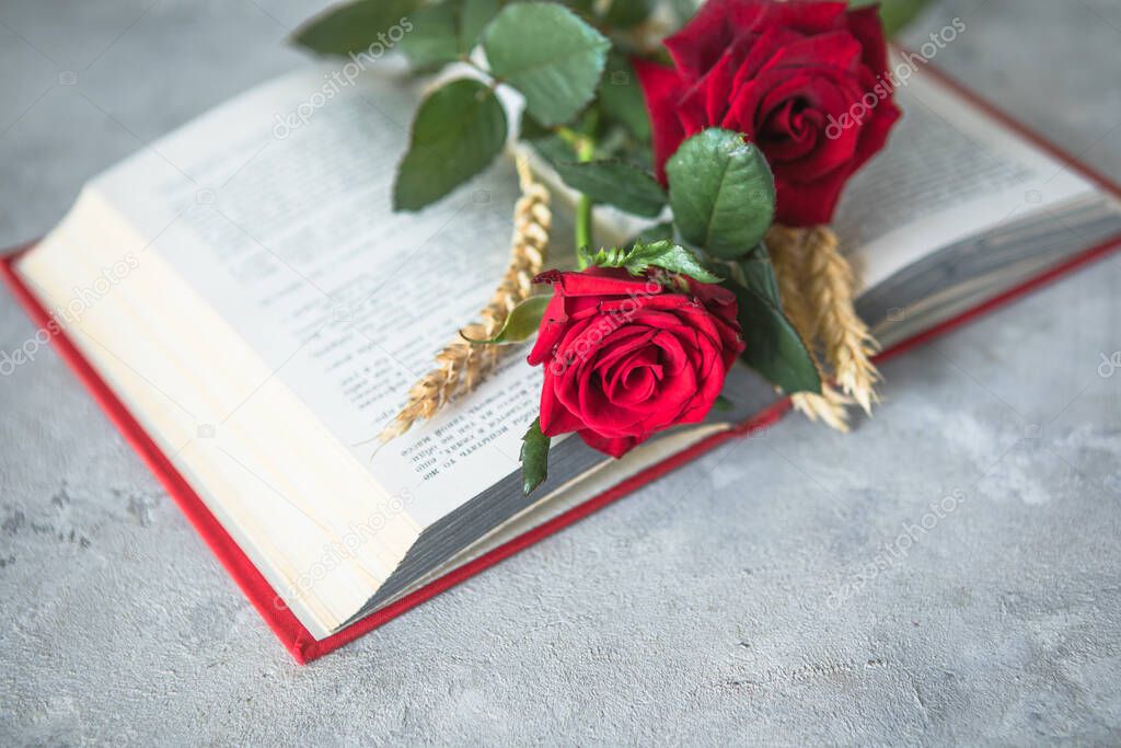 Sant Jordi, the Catalan name for Saint George Day, when it is tradition to give red roses and books in Catalonia, Spain