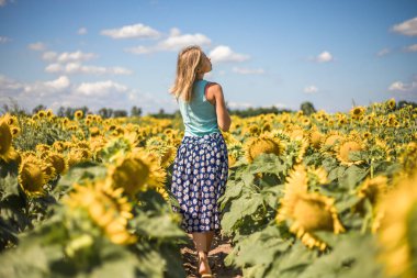 Sarı ayçiçeği tarlasında güneş ışığı saçan güzel kadın özgürlük ve mutluluk kavramı. Mutlu kız dışarıda