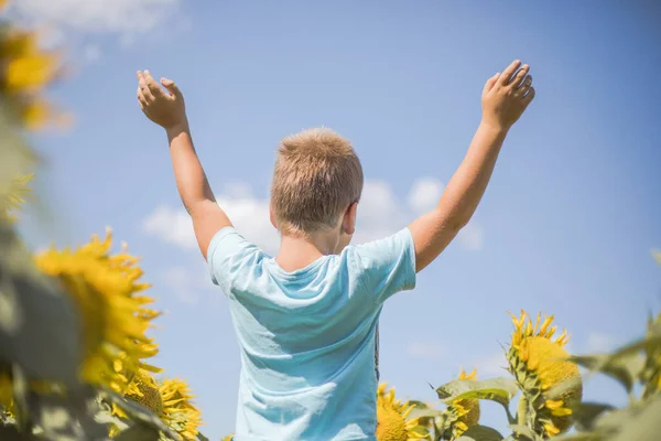 Счастливое Детское Поле Свобода Счастье Свежем Воздухе Ребенок Веселится Зеленом — стоковое фото