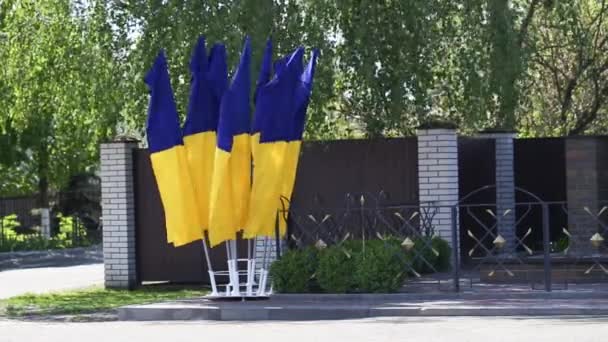 Viftande flaggor av Ukraina på gatan, land symbol — Stockvideo