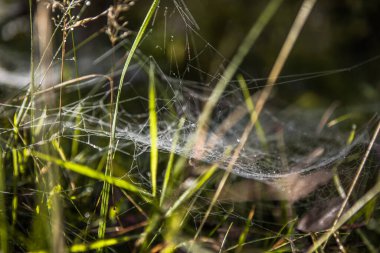 Eylül ortasında burada neredeyse Hindistan-yaz havası var.