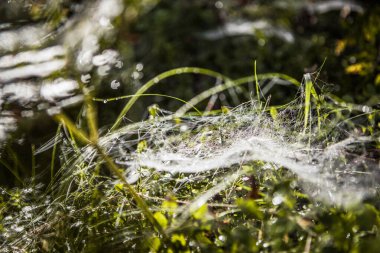 Eylül ortasında burada neredeyse Hindistan-yaz havası var.