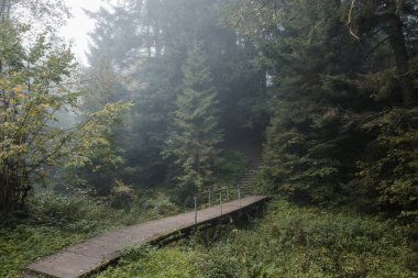 Ukrayna Karpatları Skidnitsa. Sabah güneşli bir gün dağ manzarasında. Carpathian, Avrupa. Güzellik dünyası. Büyük çözünürlük.