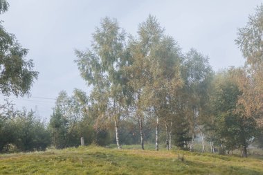 Ukrayna Karpatları Skidnitsa. Sabah güneşli bir gün dağ manzarasında. Carpathian, Avrupa. Güzellik dünyası. Büyük çözünürlük.