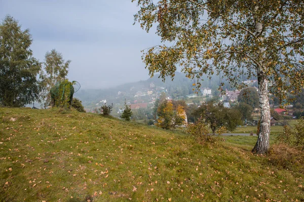 ウクライナのカルパティア スキディンツァ 朝の晴れた日の山の風景です カルパティア ヨーロッパ 美の世界 大分解能 — ストック写真