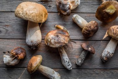 Ormandaki yenilebilir mantarlar kapanıyor. Ahşap arka planda Boletus Edulis, kırsal masa.