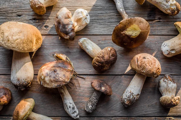 Lesní Jedlé Houby Zblízka Ceps Boletus Edulis Přes Dřevěné Pozadí — Stock fotografie