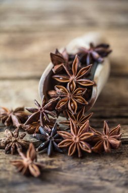 Yıldız anasonu ya da Çin Badiane baharatı ya da İllicium verum.