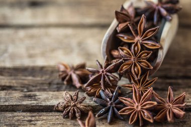 Yıldız anasonu ya da Çin Badiane baharatı ya da İllicium verum.