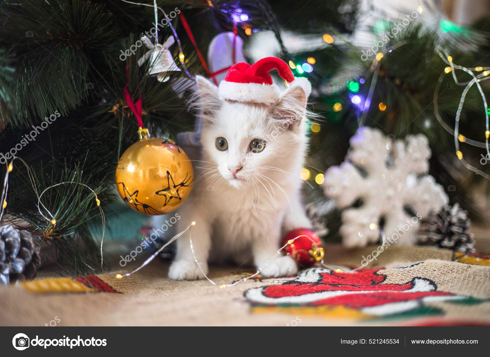 Gato Blanco Feliz Juega Con Juguete Navidad Temporada Año Nuevo — Foto de  stock #521245534 © sokor, image size:1600x1167