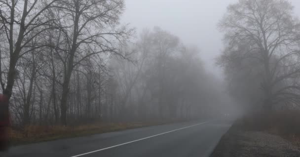 秋天的路上 多雾的森林在雨天 美丽的山路 秋天的风景 一条空旷的柏油路穿过树林 — 图库视频影像