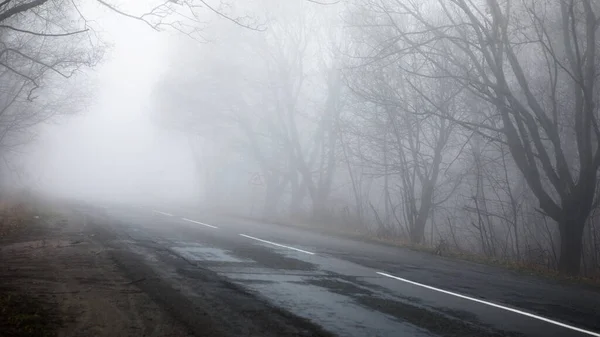 雨の日に秋の霧の森の中の道路 秋には森の中を空のアスファルトの道路と風景 — ストック写真