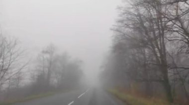 Curving empty asphalt road passing through foggy road forest. 