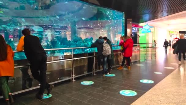 Kijev, Ukrajna 2022 - Vásárlók látogasson el az akvárium falán Kijev Mall. — Stock videók