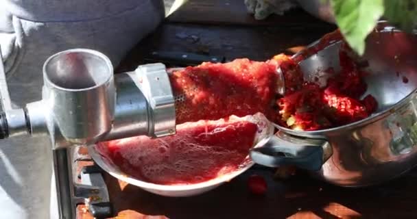 Κάνοντας Σπιτικό Χυμό Ντομάτας Πιέζοντας Ένα Πιεστήριο Χέρι Μια Βίδα — Αρχείο Βίντεο