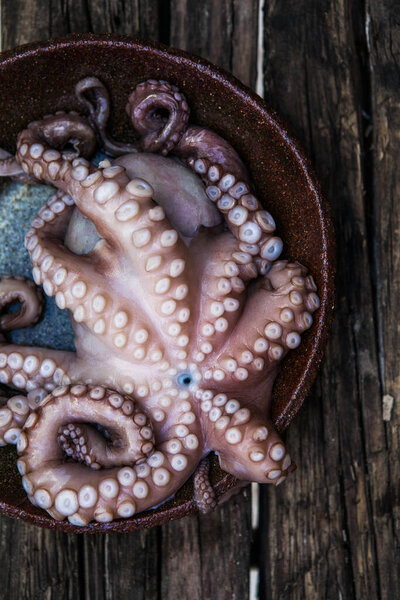 Octopus is raw, ready to cook. Close-up of a fresh raw octopus. seafood delicacy.