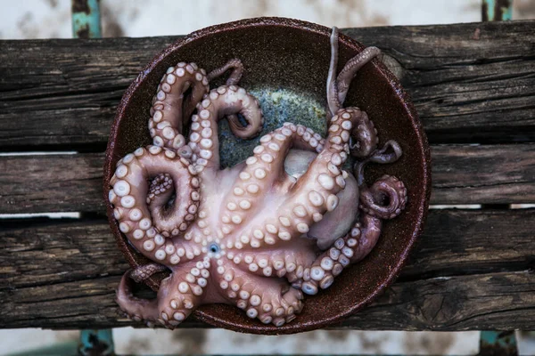 Octopus is raw, ready to cook. Close-up of a fresh raw octopus. seafood delicacy.