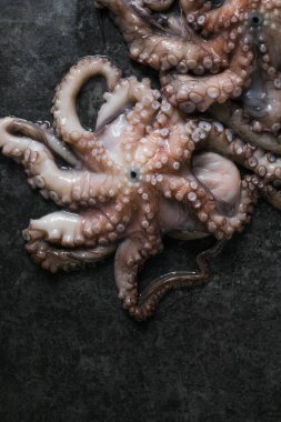 Ahtapot. Yaratıcı sağlıklı yiyecek kavramı ve ahtapottan alınmış lezzetli deniz ürünleri fotoğrafları..