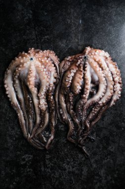 Ahtapot. Yaratıcı sağlıklı yiyecek kavramı ve ahtapottan alınmış lezzetli deniz ürünleri fotoğrafları..