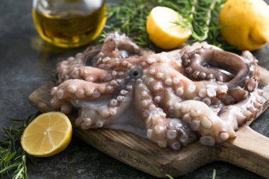 Ahtapot. Yaratıcı sağlıklı yiyecek kavramı ve ahtapottan alınmış lezzetli deniz ürünleri fotoğrafları..