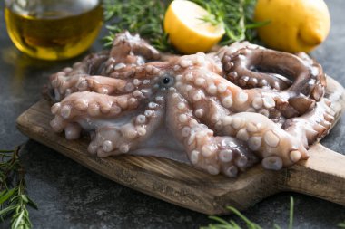 Ahtapot. Yaratıcı sağlıklı yiyecek kavramı ve ahtapottan alınmış lezzetli deniz ürünleri fotoğrafları..