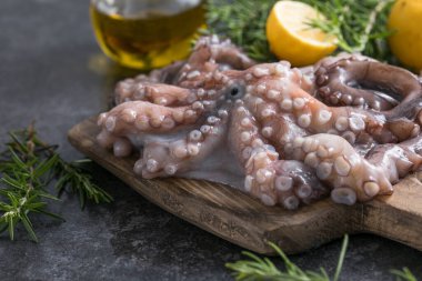 Ahtapot. Yaratıcı sağlıklı yiyecek kavramı ve ahtapottan alınmış lezzetli deniz ürünleri fotoğrafları..