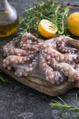 Ahtapot. Yaratıcı sağlıklı yiyecek kavramı ve ahtapottan alınmış lezzetli deniz ürünleri fotoğrafları..