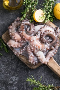 Ahtapot. Yaratıcı sağlıklı yiyecek kavramı ve ahtapottan alınmış lezzetli deniz ürünleri fotoğrafları..