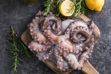 Ahtapot. Yaratıcı sağlıklı yiyecek kavramı ve ahtapottan alınmış lezzetli deniz ürünleri fotoğrafları..