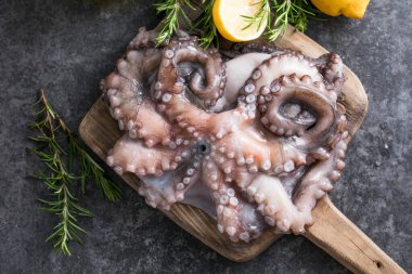 Ahtapot. Yaratıcı sağlıklı yiyecek kavramı ve ahtapottan alınmış lezzetli deniz ürünleri fotoğrafları..