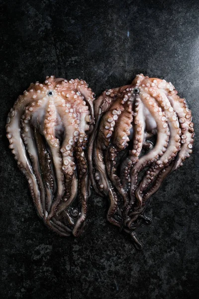 Ahtapot. Yaratıcı sağlıklı yiyecek kavramı ve ahtapottan alınmış lezzetli deniz ürünleri fotoğrafları..