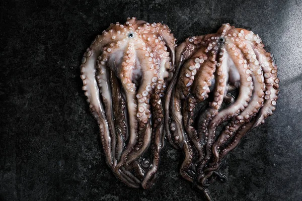 Ahtapot. Yaratıcı sağlıklı yiyecek kavramı ve ahtapottan alınmış lezzetli deniz ürünleri fotoğrafları..