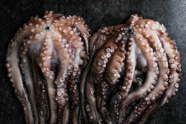 Ahtapot. Yaratıcı sağlıklı yiyecek kavramı ve ahtapottan alınmış lezzetli deniz ürünleri fotoğrafları..