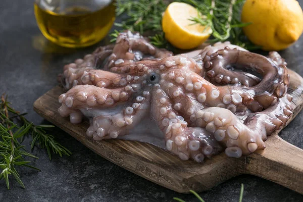 Ahtapot. Yaratıcı sağlıklı yiyecek kavramı ve ahtapottan alınmış lezzetli deniz ürünleri fotoğrafları..