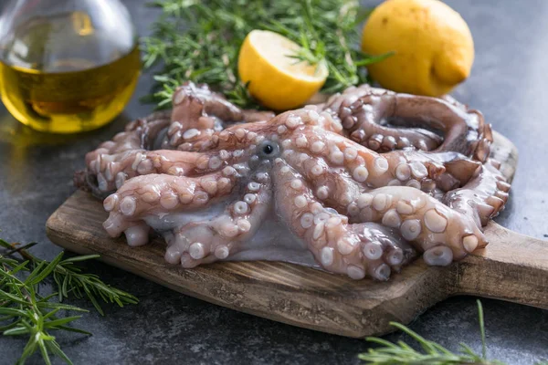 Ahtapot. Yaratıcı sağlıklı yiyecek kavramı ve ahtapottan alınmış lezzetli deniz ürünleri fotoğrafları..