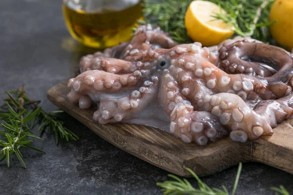 Ahtapot. Yaratıcı sağlıklı yiyecek kavramı ve ahtapottan alınmış lezzetli deniz ürünleri fotoğrafları..