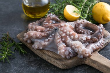 Ahtapot. Yaratıcı sağlıklı yiyecek kavramı ve ahtapottan alınmış lezzetli deniz ürünleri fotoğrafları..