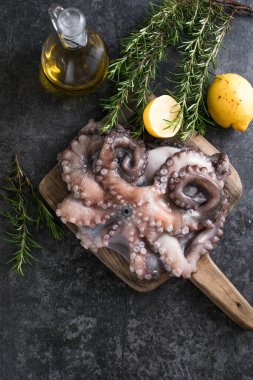Ahtapot. Yaratıcı sağlıklı yiyecek kavramı ve ahtapottan alınmış lezzetli deniz ürünleri fotoğrafları..