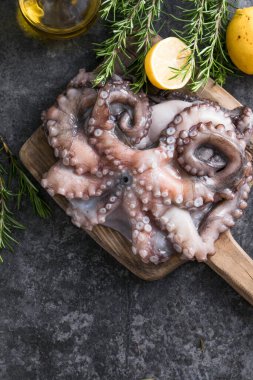 Ahtapot. Yaratıcı sağlıklı yiyecek kavramı ve ahtapottan alınmış lezzetli deniz ürünleri fotoğrafları..