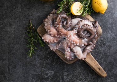 Ahtapot. Yaratıcı sağlıklı yiyecek kavramı ve ahtapottan alınmış lezzetli deniz ürünleri fotoğrafları..