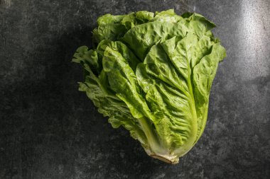 Sağlıklı yemek, yeşil yaprak salata.