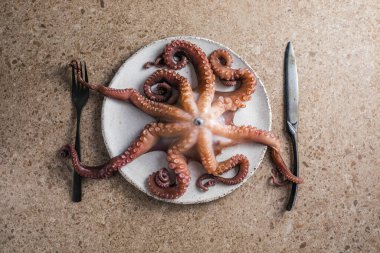 Tabakta servis edilen doğranmış bitkilerle pişirilmiş ahtapot.