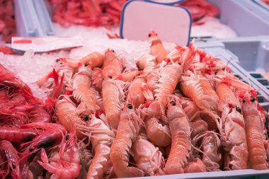 kerevitleri ve karides balık Market