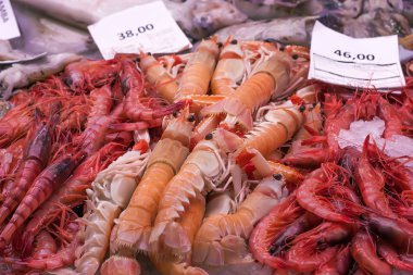kerevitleri ve karides balık Market