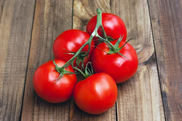 Ramo de tomates maduros — Fotografia de Stock