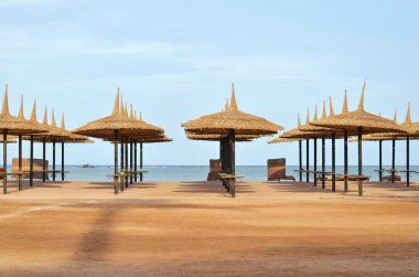 plaj şemsiyeleri & sahilde şezlong