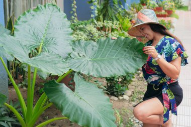 Bahçesinde bitkilerle ilgilenen bir kadın. Şehir Ormanı.