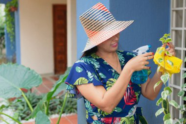 Evde bitkilerle ilgilenen bir kadın. Şehir ormanı. Sulamak ve su sıkmak..